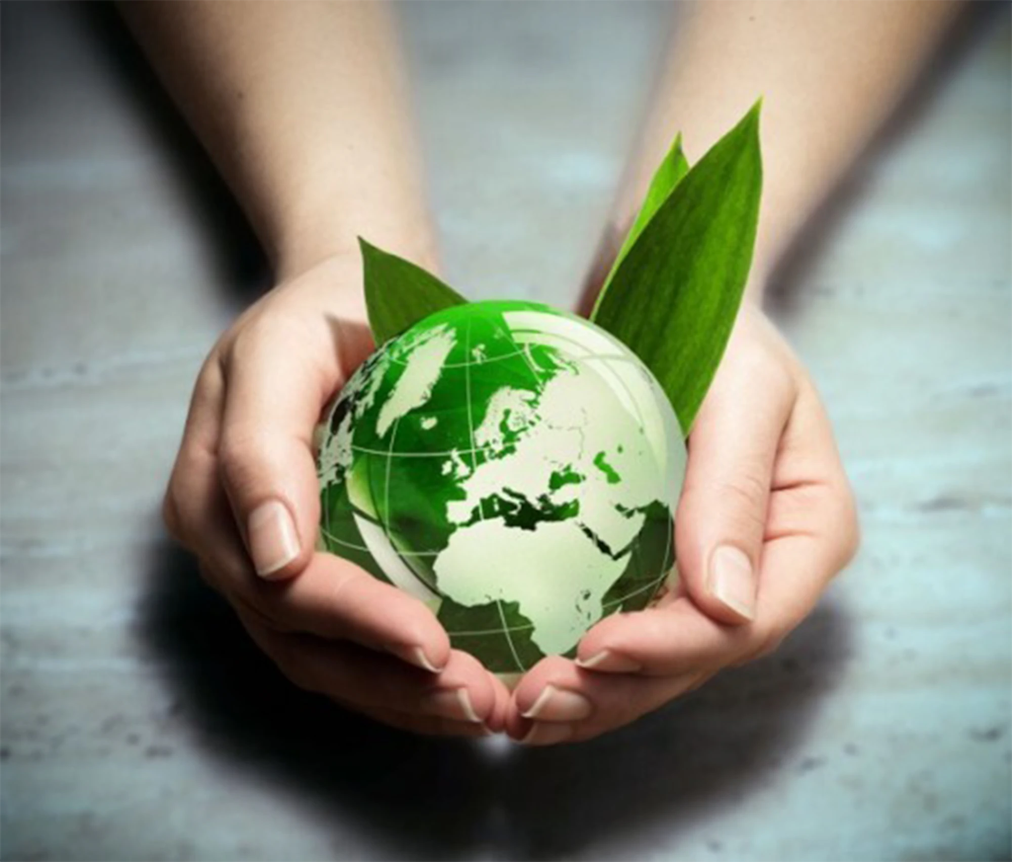 Green globe in hands