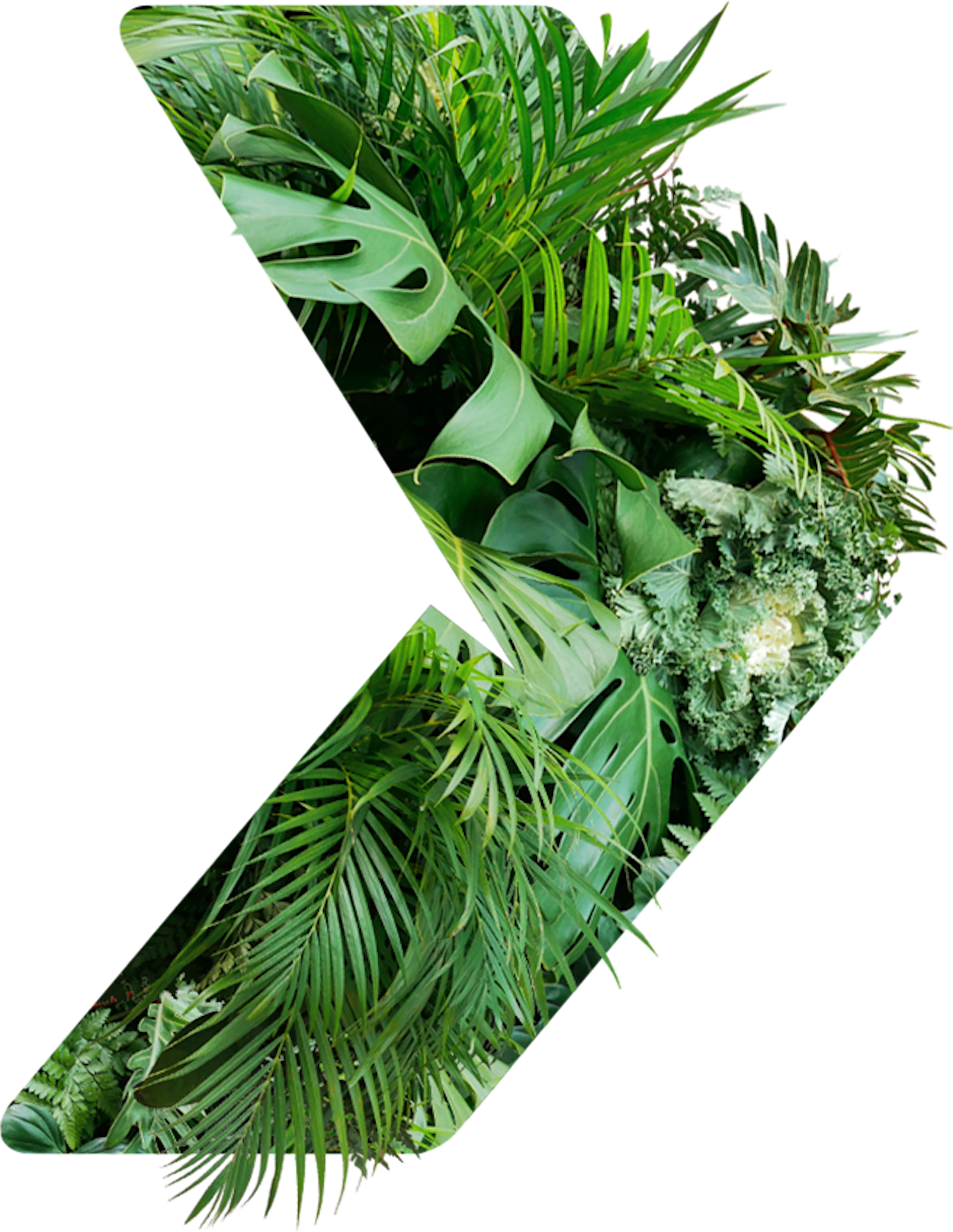 Leaf filled Brymec chevron