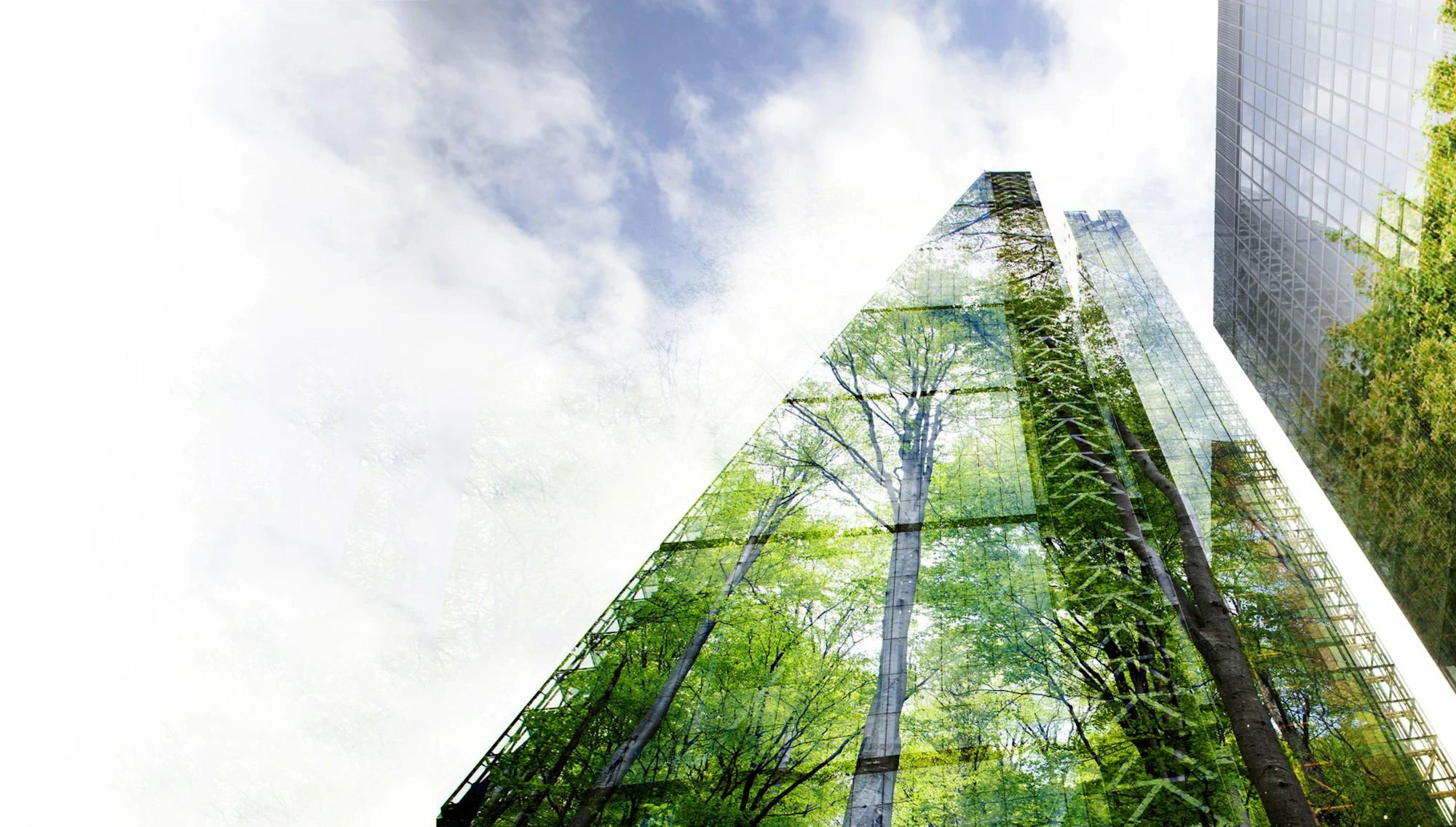 Brymec Sustainability